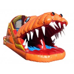 Happy Jump Gator Toboggan Happy Jump Gator Toboggan