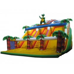 Toboggan Gonflable Dragon Surf Toboggan Gonflable Dragon Surf