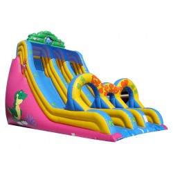 Toboggan Gonflable Double Voie Toboggan Gonflable Double Voie