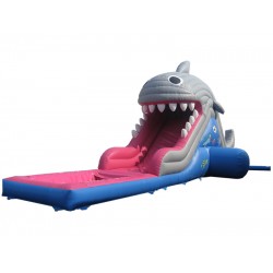 Toboggan Eau Gonflable De Requin Toboggan Eau Gonflable De Requin