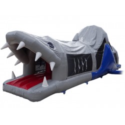 Requin Fun Run Requin Fun Run