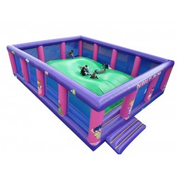 Tapis De Saut Gonflable Tapis De Saut Gonflable