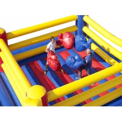 Ring De Boxe Gonflable Ring De Boxe Gonflable