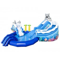 Parc Aquatique Dauphin Et Éléphant Parc Aquatique Dauphin Et Éléphant